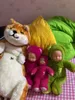 Japan Anime Shiba Inu peluche cane giocattolo animali giganti cane bambola Akita giocattoli strisce pisolino cuscino per bambini amico 80 cm 31 pollici DY50414