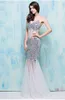 Nightclub Sexy Dresses Long Section Summer New Fish Tail Slim Back Deep V Collar Party Perspective Prom Dresses HY1614