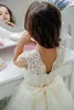 Sevimli Prenses Çiçek Kız Elbise Dantel Tül Kat Uzunluk Cap Kollu Doğum Günü Partisi Elbiseler İlk Communion elbise Ile Kurdele Kanat