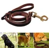 Hot New Cat Dog Collar Leash Cow Lädervalp Traction Utbildning Lead Walking Harness Rope Pet Supplies