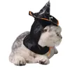 1pc 고양이 할로윈 코스프레 멋진 드레스 마법 블랙 마법사 / 마녀의 모자 + Scraf 할로윈 애완 동물 의상 세트