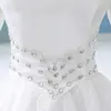 Luxury Fairy White Snow Queen Feather Fan Collar Rhinestone Beading Bowknot Medieval Dress Renaissance GOWN ROYAL PRINCESS DRESS B302K