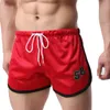 5 Cores New Sexy Underwear Homens Nylon Boxer Shorts Malha Net Cuecas Masculinas Confortáveis ​​Homme Boxers Correndo Ginásio Calções De Pijama Em Casa
