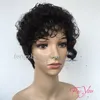 FZP 패션 시뮬레이션 인간의 머리 가발 갈색 아름다움 짧은 곱슬 가발 재고 있음 흑인 여성 Afro Kinky Curly Wigs