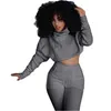 Kobiety Dwa Kawałki Zestaw Dzianiny Dopasowane Topy Crop + Dorywczo Pant Garnitury Moda Damska Jogger Salon Ustaw WDC900 S-XXL