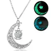 Multicolor Luminous Owl necklace Pendant Moon Glowing in the dark Animal Charm Necklaces fashion jewlery for Women Kid gift will and sandy