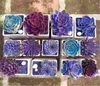 200 peças/saco mais vendido! Sementes de cactos suculentas Lótus Lithops Bonsai Plantas Casa Jardinagem Vasos de flores Varanda sementes de flores