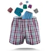 Ny 35 Färg Män Arrow Byxor Casual Fashion Märke Högkvalitativ Boxer 4PCS / Lot Mens Cotton Boxers Mäns Shorts Underkläder