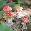 Vendita calda Nuovi Mini Funghi Giardinaggio Decorazioni in vaso Muschio Micro Paesaggio Decorazione Fata Giardino Regali fai da te