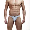Underpants bikini transparente gay pênis bolsa homens cuecas sem costura lingerie sexy homens baixo cintura baixa moda homem breve vestuário