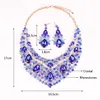 Hela vackra bladsmycken brudsmycken set Rhinestone Party Wedding Prom Costume Accessories Necklace Earring Set Wome6047439