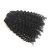 Remy Peruvian Hair Afro Kinky Curly Clip In Human Hair Extensions för svarta kvinnor 7 st / set 100g Nautral färg 10 färger tillgängliga