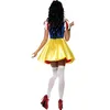 Sexy Sneeuw Prinses Volwassen Halloween Kostuum Womens Fairytale Cosplay Kerstuitvoeringen Fancy Dress Ronde Neck Geplooide jurk