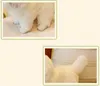 Hoge Kwaliteit Simulatie Dier Maltese Hond Pluche Doll Mini Zachte Huisdier Dieren Hond Baby Gift Decoratie 27x12x22cm DY50132