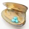 Oval Pearl Oyster, Pearl is Freshwater Pearl 6-8mm Color #3 (Sky Blue), Vacuum Packaging Spot Wholesale (Free Shipping)