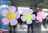 Lighting Inflatable Flower Hung Inflated Pink Flower Concert Plum Blossom for Stage/Concert