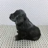 Dorimytrader bonito mini lifelike animal preto dog toy de pelúcia realistas cães decoração para carro presente dos miúdos 2 modelos DY80006