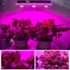 COB LED Coltiva La Luce Spettro Completo Potenza Effettiva 50W LED Pianta Coltiva La Lampada Per Piante Da Interno Fase Di Fioritura Veg