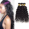 Péruvien 9A Extensions de Cheveux Humains 3 Bundles Vague D'eau Vison Vierge Cheveux Trames 3 Pcs/lot Naturalc Couleur 8-30 pouces Eau Weave