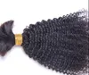 Brasilianisches menschliches reines Haar Afro-verworrenes gelocktes Haar-Bündel-Haar-Verlängerungen Unverarbeitetes natürliches schwarzes dunkelbraunes Farbstarkes Ende
