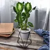 Flower Pots Nordic Geometric Wrought Iron Simple Succulent Frame Herb Cactus Flower Pot Ceramic Pot Green Planter for home decor5966088