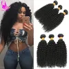 Malezya Afro Kinkys Kıvırcık Saç 4 Paketler İnsan Saçları Siyah Kadınlar İçin Dokunma Atkı Malaisienne Malezya Moğol Sıkı Kinky Curl5522787