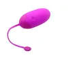 Bluetooth USB Application sans fil rechargeable Télécommande vibrateurs d'oeufs Silicone vibration de vibratrice d'oeuf Sex Toys for Woman