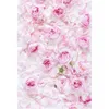 Roses pétales bébé douche toile de fond vinyle nouveau-né photographie accessoires enfants filles Floral Photo Shoot fond pour Studio