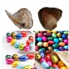 Pille Form Streifen Perle Oval Süßwasserschale Perle Oyster 89mm Mischfarben Perle Auster mit Vakuumverpackung Fancy Gift