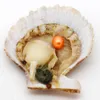 Gros mode fête Surprise cadeau eau de mer coquille rouge huître 6-8mm Ellipse couleur perle 1 pièces dans l'huître