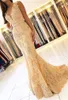 Bezaubernde ärmellose Meerjungfrau-Abendkleider 2019 Vintage-Spitze-Abschlussballkleider Günstige Kleider für besondere Anlässe in Übergröße
