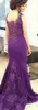2018 Sheath Mother Of The Bride Dresses Purple Sheer V Neck Lace Applique Beaded Cap Sleeves Backless Long Mermaid Evening Wear Prom Dresses