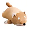 Kawaii shiba inu plysch leksak hund docka stor mjuk djur corgi docka medföljer sovande för barn vuxna present deco 35inch 90cm dy50485