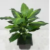 Grande pianta artificiale sempreverde da 50 cm 25 foglie cespuglio realistico piante in vaso plastica verde albero giardino domestico decorazione ufficio