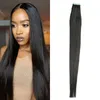 Braziliaanse Remy Tape Skin Menselijk Hair Extensions PU Rechte 100G 40Pieces 10-26 inch Peruviaans haar Indiaas Maleisië Haar