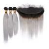 Neu Kommen Sie 1b Grau Ombre Echthaar 3 Bundles Mit Spitze Frontal Brasilianisches Reines Glattes Haar Graue Haarverlängerung Mit 13x4 Spitze Frontal