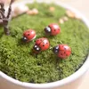 Mini coccinelle artificiali insetti beatle miniature da giardino fatato gnome muschio terrario arredamento artigianato in resina decorazioni per la casa bonsai