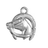 2021New Lucky Horse Head and Horseshoe Charm Hängen för smycken som tillverkar armbandsmycken Fynd DIY Handgjorda CRAF8906817