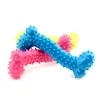 Резиновые игрушки для собак Резиновый молярный зуб Pet Chew Toys Игрушки для собак для маленьких собак Укус Устойчивые моляры Обучение Pet Аксессуары 11 см DHL Freeshipping