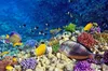 3d floor bathroom wallpaper Aesthetic Sea World 3D floor painting wallpaper