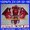 Injektion för Kawasaki ZX1200 ZX 12R 2002 2003 2004 2005 2006 224HM.29 ZX-12R 12 R 1200cc ZX12R 02 03 04 05 06 Glansig grön fairing