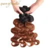 Ombre Capelli Vergini Capelli vergini peruviani brasiliani Onda del corpo 3 pacchi Estensioni dei capelli umani dell'onda del corpo T1B304825112