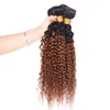 Kinky Curly 1B30 Ludzkie Weave 4 pakiety z kolorowym brazylijskim brazylijskie peruwiańskie dziewicze włosy ludzkie włosy Ombre Auburn 4PCSL5537997