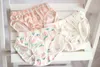 100% Algodão Orgânico Bebê e Criança Roupa Interior Algodão Meninas E Meninos Assorted Briefs (Pacote De 3, Cor Aleatória)