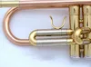 Baha haute qualité Nouvelle trompette Instrument de musique LT180S-72 bronze de phosphore de haute qualité B plat trompette professionnelle Performance Livraison