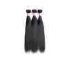 Capelli umani malesi 3 pacchi con fasci lisci setosi pre pizzicati frontali in pizzo 13X4 con chiusura in pizzo con orecchio dei capelli del bambino a E9457854