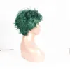 Curly Wig 6 Inch Short Wave Syntheic Hair Wig Green with Highlights Full wigs