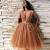 Brown V Neck Kort Prom Klänningar med 3D Appliques Sexig Backless Tulle Knee Längd Evening Gowns 2019 Homecoming Party Dress Cheap