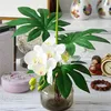 PU Moth Phalaenopsis Orchid Flower Real Touch Five Heads Mini Butterfly Orchid 70см Декоративная цветочная композиция