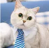 [VT] Köpek Yaka Kedi Yaka, Pet bow kravatlar, Kedi Kravat, Köpek Kravat, Akıllı Görünümlü Pet Kostüm